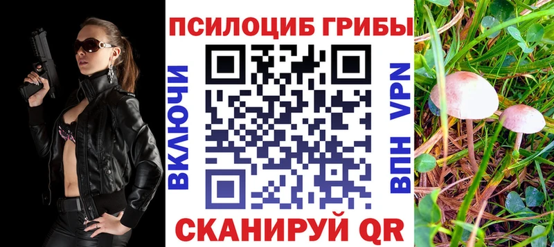 Псилоцибиновые грибы Psilocybine cubensis  Пересвет 